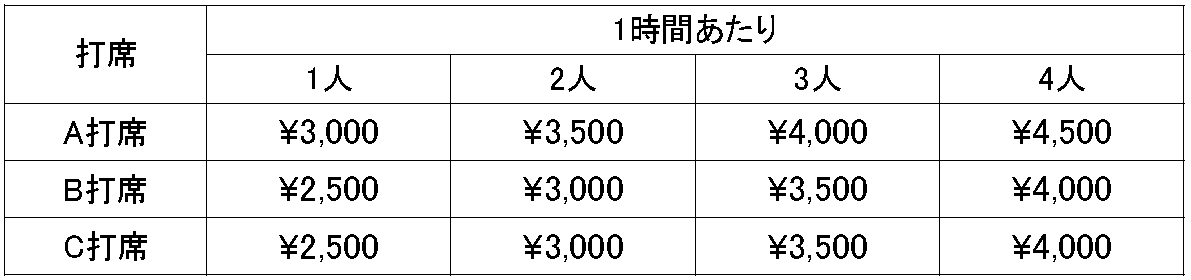 Visitor Price